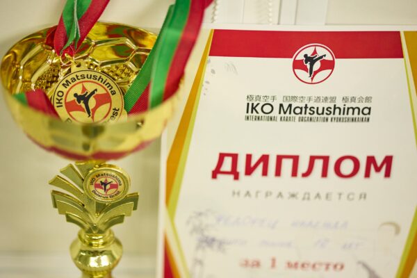 Кубок, медаль и диплом победителю соревнований по киокушинкай карате "Кубок Мацушимы" октябрь 2025