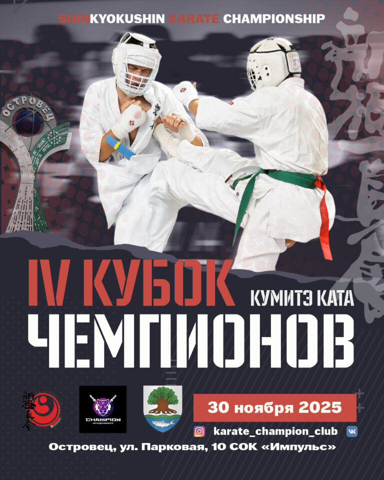 КУБОК ЧЕМПИОНОВ | 30.11.2025